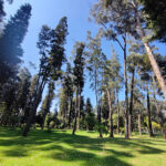 Parque Metropolitano Bosque San Carlos.