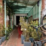 Wu Dumplings and Beer – Quinta Camacho - Image 01