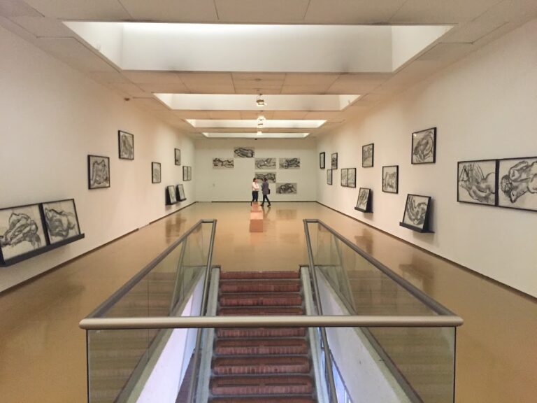 Museo de Artes Visuales - Image 01