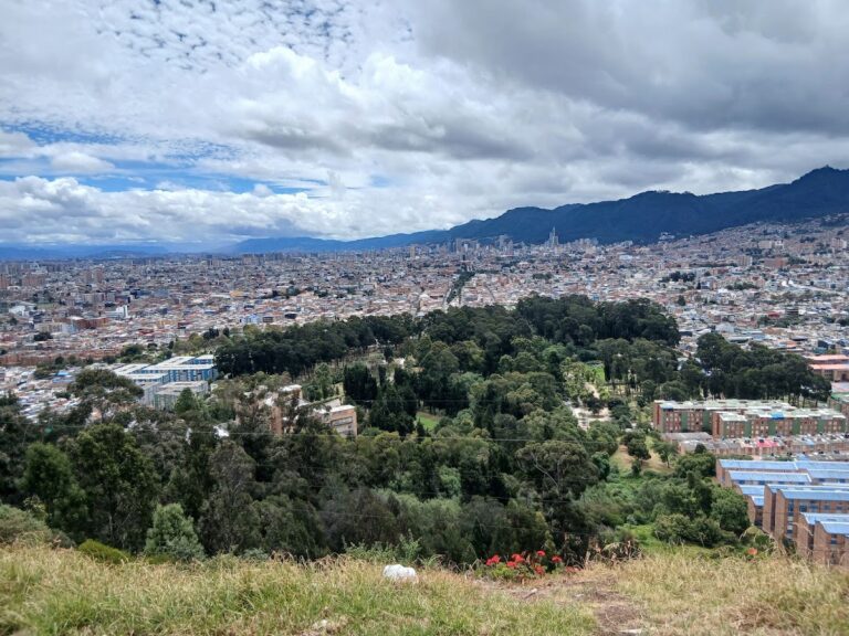 Parco metropolitano della foresta di San Carlos. - Immagine 03
