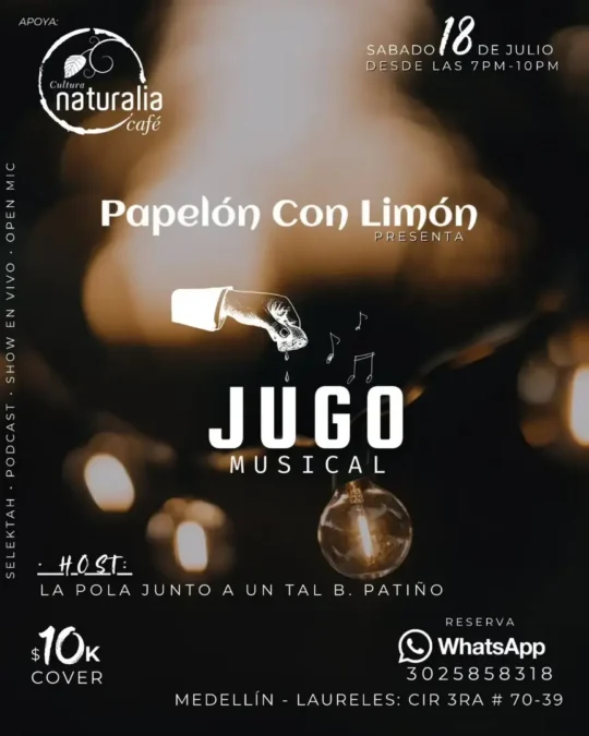 Jugo Musical 6. Edicion - Image 8075