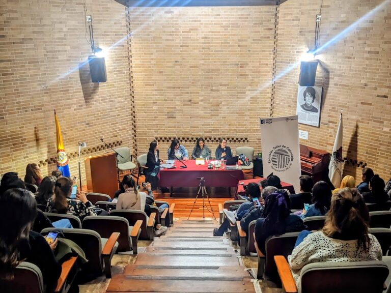 Auditorio Virginia Gutiérrez de Pineda - Image 01