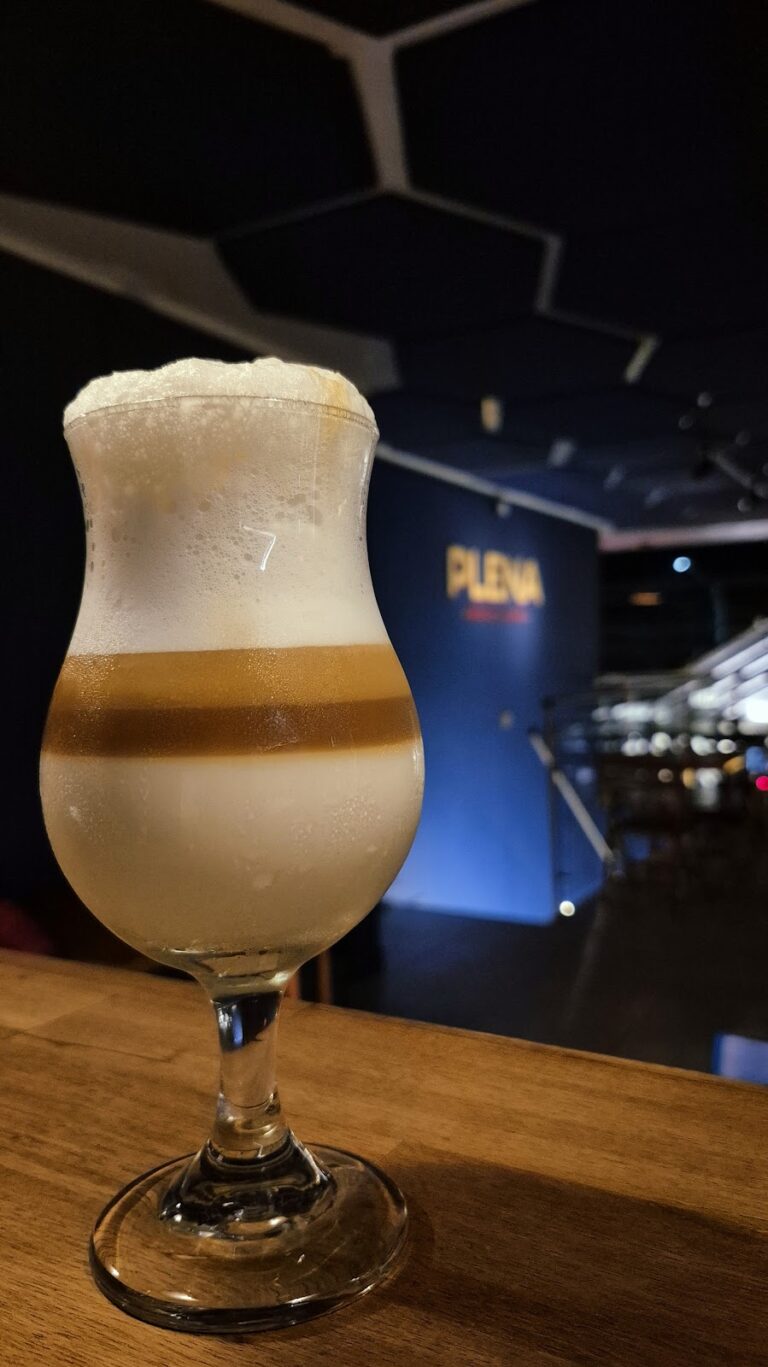 PLENA SALSA BAR - Image 04