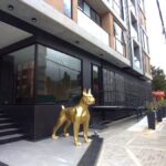 Niido - Image 01