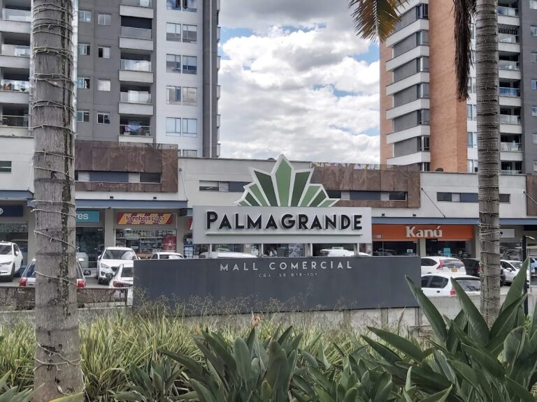 Palmagrande Mall Comercial - Image 01