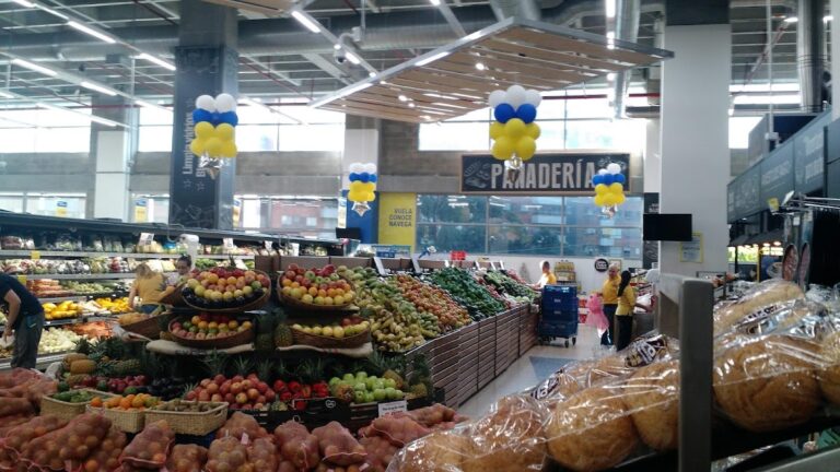 Palmagrande Mall Comercial - Image 02