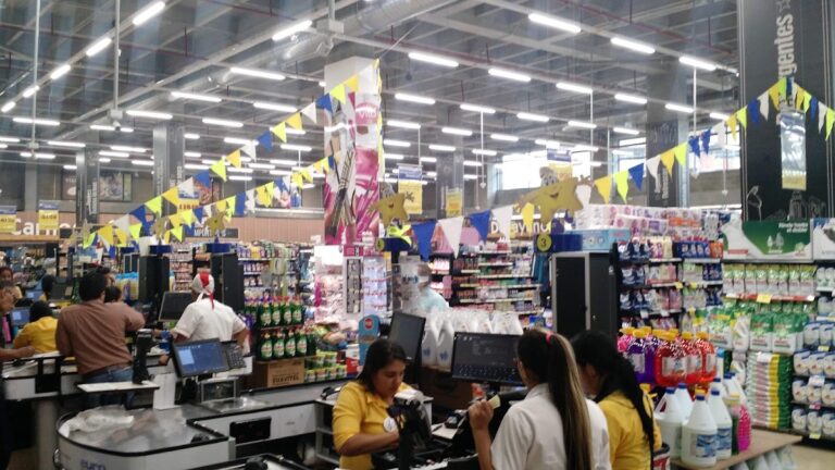 Palmagrande Mall Comercial - Image 04