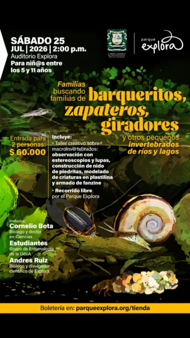 Taller creativo: Barqueritos, zapateros, giradores - Image 01