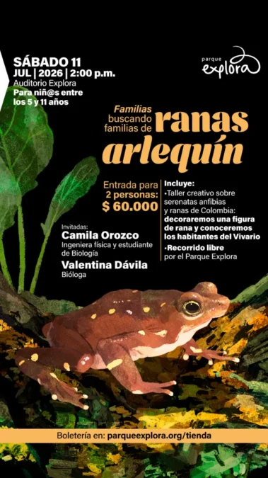 Taller para familias: Ranas Arlequín - Image 01