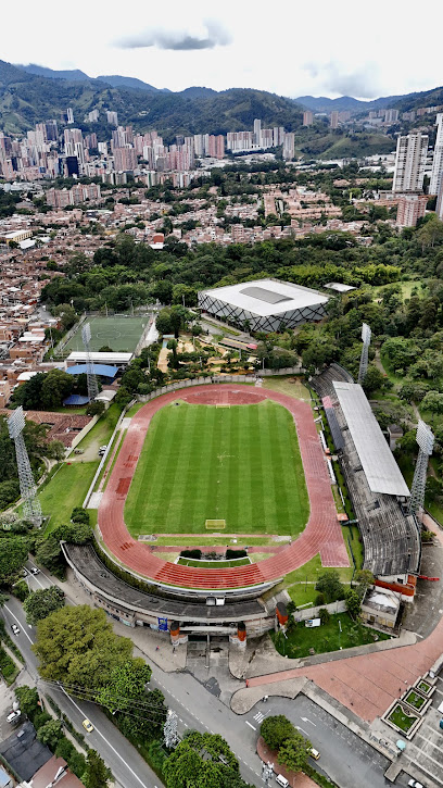 Estadio Ditaires