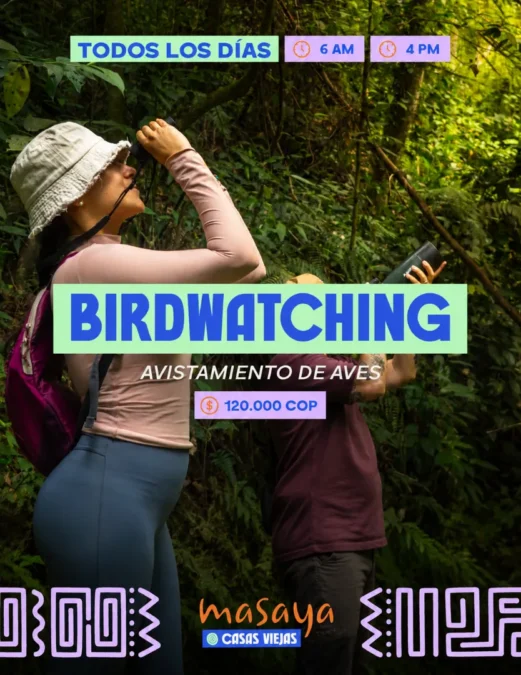 BIRDWATCHING - Image 01