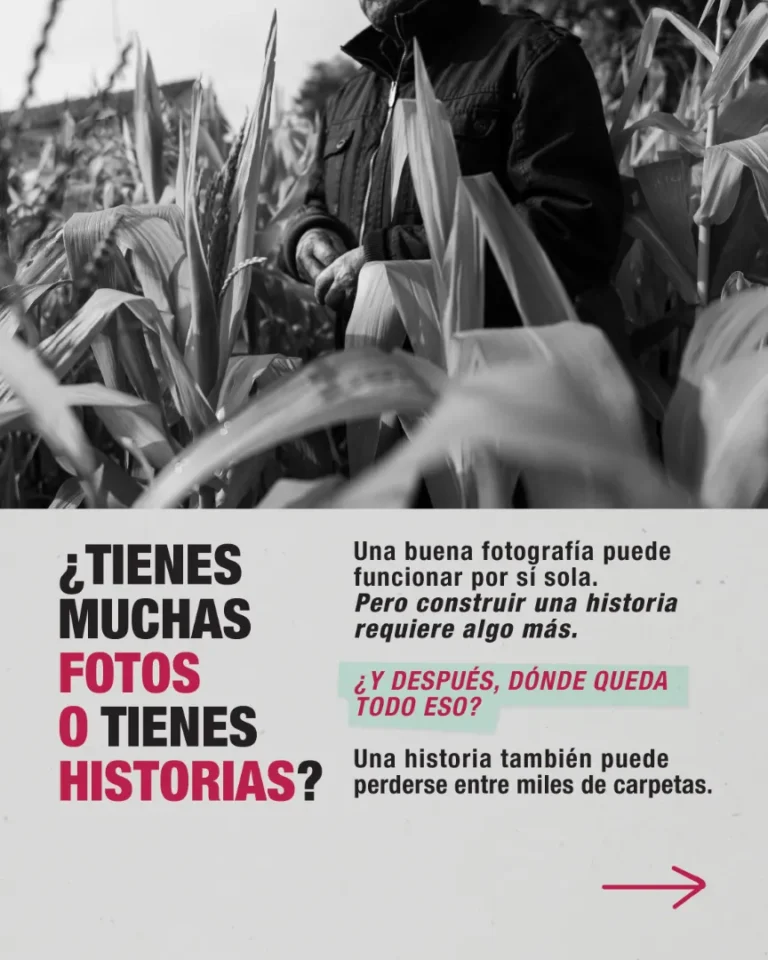 Foto Taller De la Calle al Archivo - Image 03