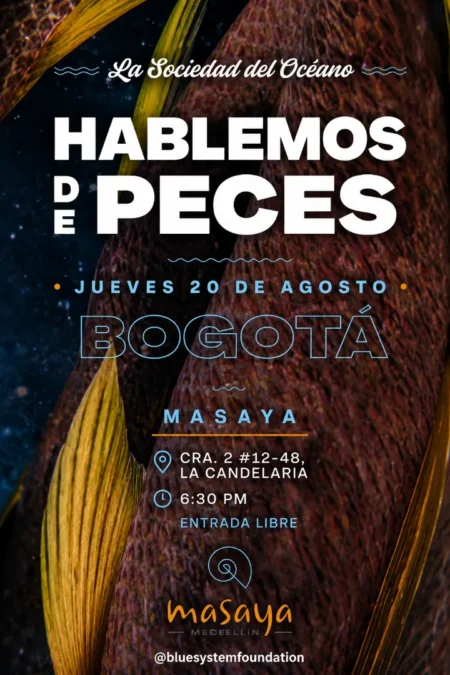 Hablemos de Peces - Image 01