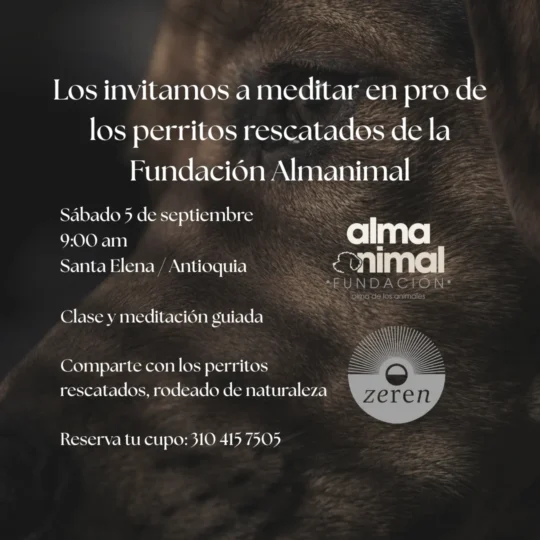 Meditación Naturaleza y Animales Recatados - Image 01