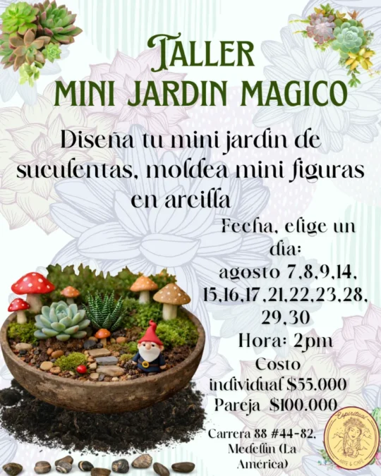 MINI JARDÍN MÁGICO DE SUCULENTAS ✨🌱 - Image 01