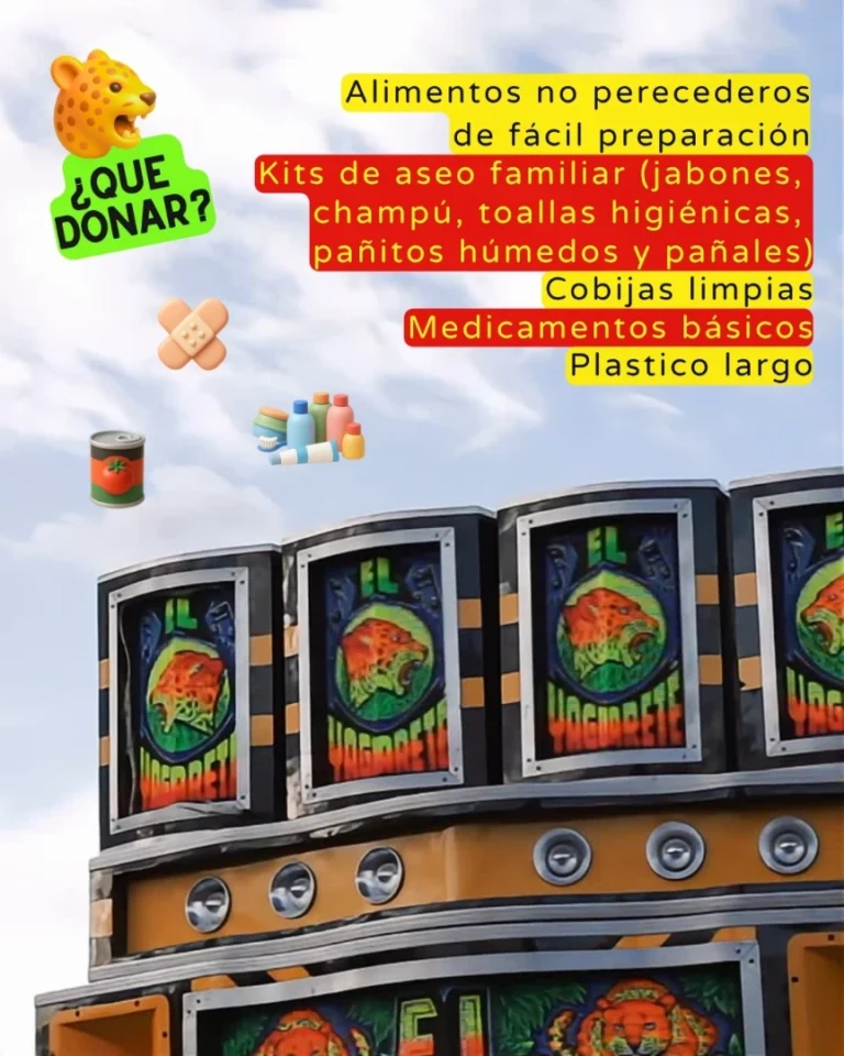 PARCHE PICOTERO SOLIDARIO - Image 02