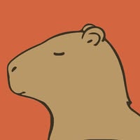Capybara hostel - Image 05