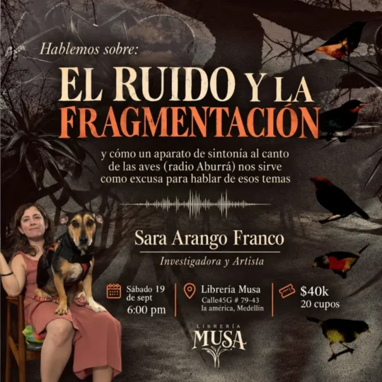 El ruido y la fragmentacion - Image 01