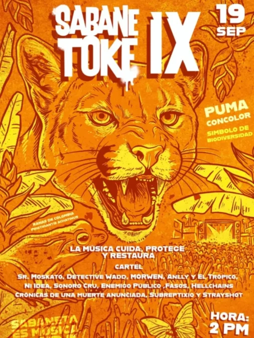 Sabanetoke IX - Image 01