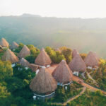 Ceiba by Masaya Collection