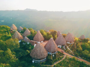 Ceiba by Masaya Collection