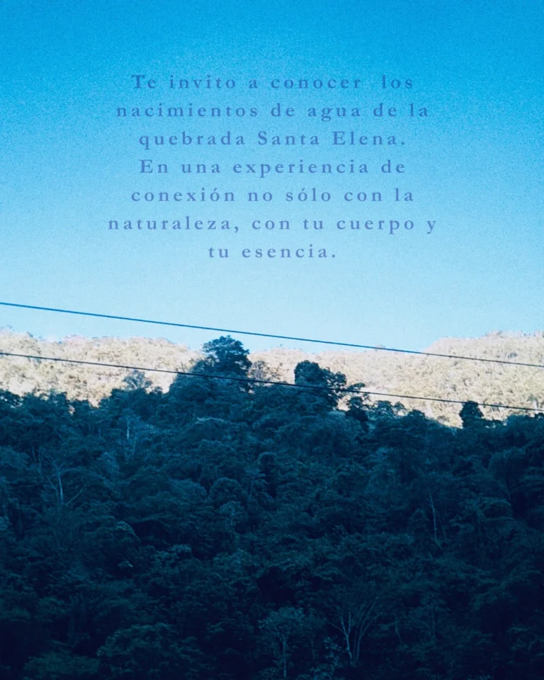 AGUA | Senderismo (Nivel 2.5) | Yoga & Meditación - Image 04