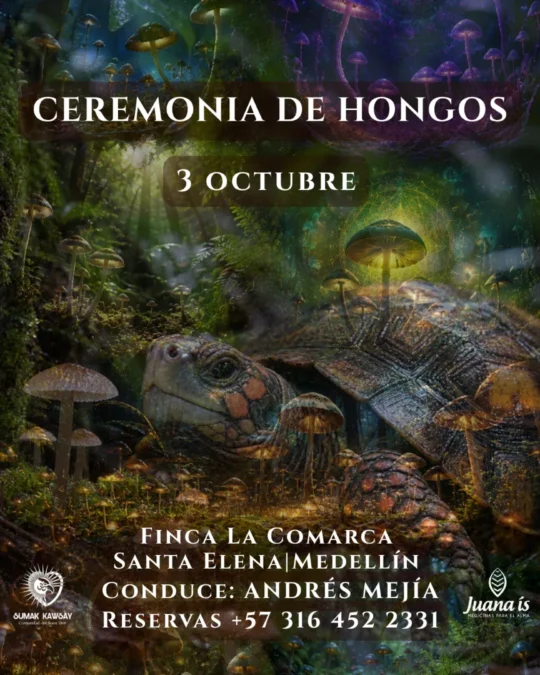 CEREMONIA DE HONGOS - Image 01
