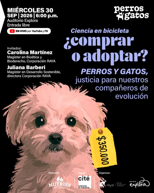 Perros y gatos, ¿comprar o adoptar? - Image 01