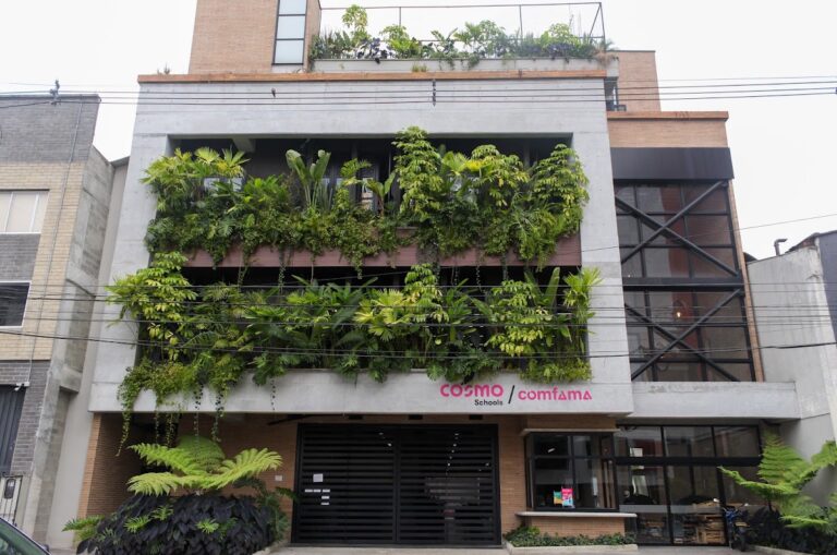 Cosmo Schools – Barrio Colombia - Image 06
