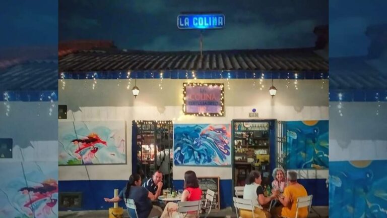 Bar cali | La Colina tienda tertuliadero | Terraza bar - Image 03
