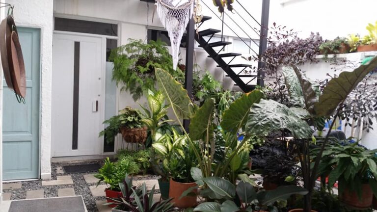 Moonshine Hostel - Image 01