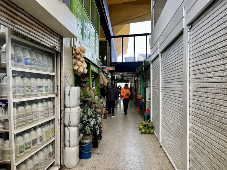Plaza de Mercado Paloquemao - Image 03