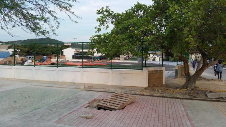 ESTADIO MONO JUDAS - Image 03
