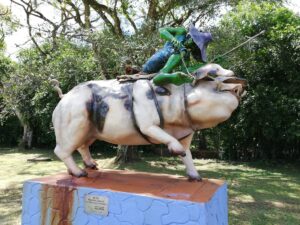 Parque Las Malocas – Catama - Image 01