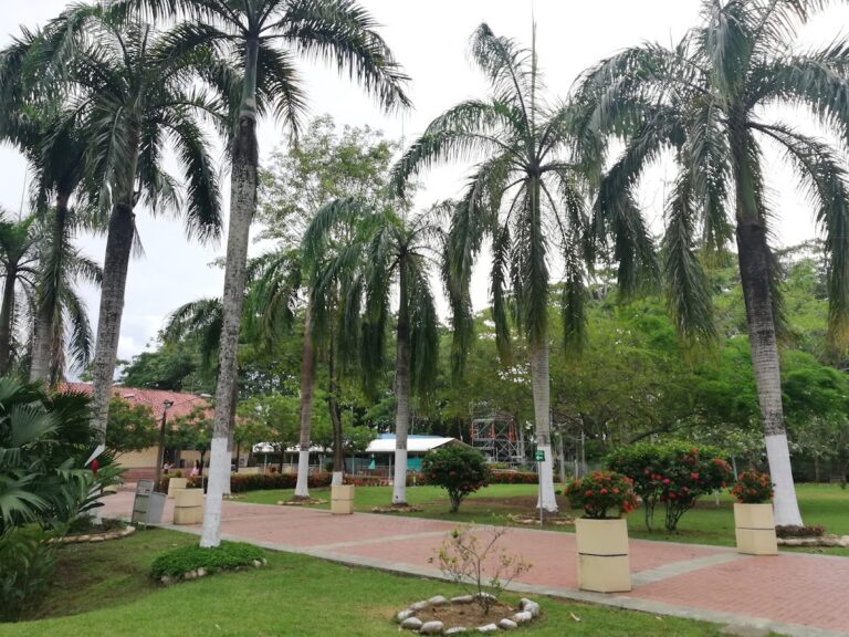 Parque de los Encuentros – Comfenalco Antioquia - Image 05