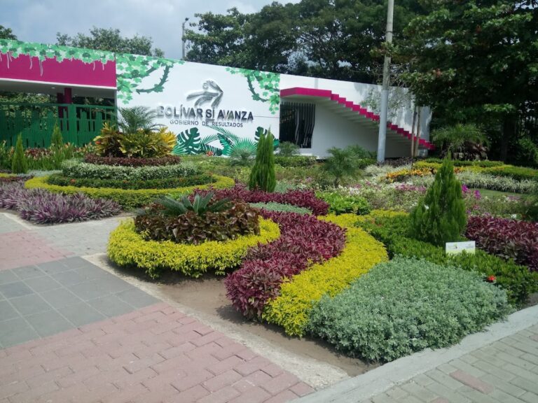 Parque Espíritu Del Manglar (Rafael Vergara Navarro) - Image 02