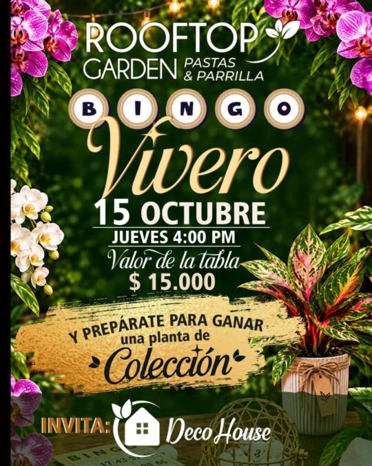 Bingo Vivero - Image 01