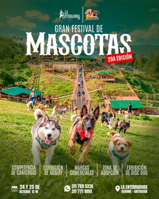 Gran Festival de Mascotas - Image 01