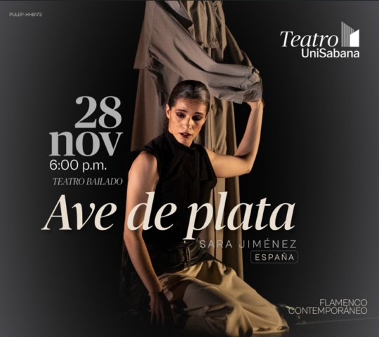 AVE DE PLATA Sara Jimenez Teatro Bailado - Image 9942