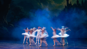 Agendate Y Asiste Al IX Encuentro De Escuelas Y Academias De Ballet En Bogota - Image 10369