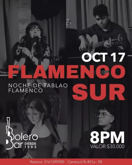 Flamenco Sur En Bolero Bar - Image 9829