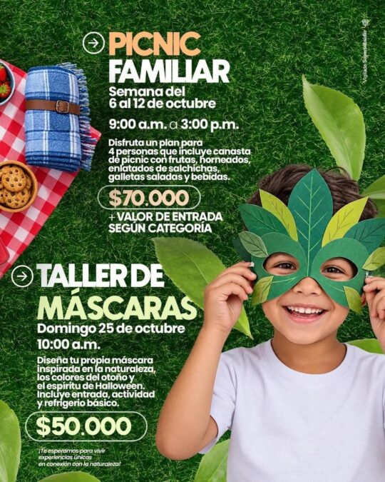 Taller De Mascaras - Image 10104