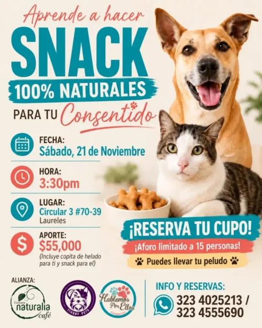 Taller De Snacks Naturales Para Mascotas - Image 10010