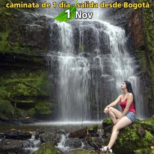 Caminata el Destino, Planes y Eventos en Bogotá 1 de Noviembre - Image 01