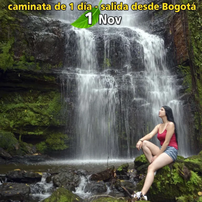 Caminata el Destino, Planes y Eventos en Bogotá 1 de Noviembre - Image 02
