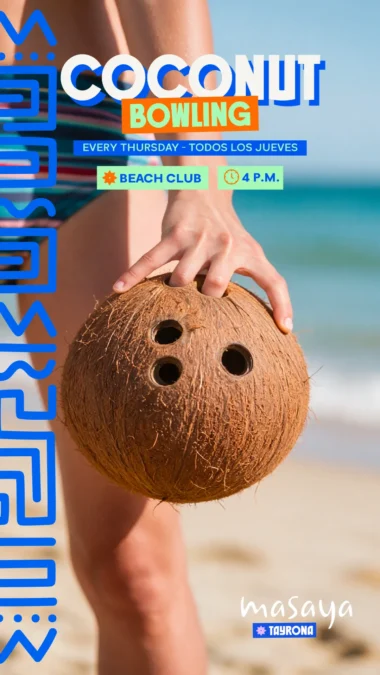 CocnutBowling - Image 01