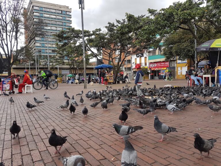 Plaza de Lourdes - Image 04