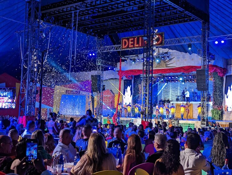 Carpa Delirio - Image 03