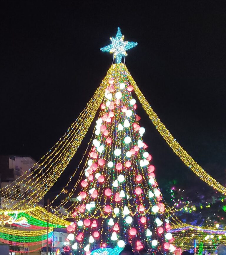 Parque Obrero Itagüí - Image 03