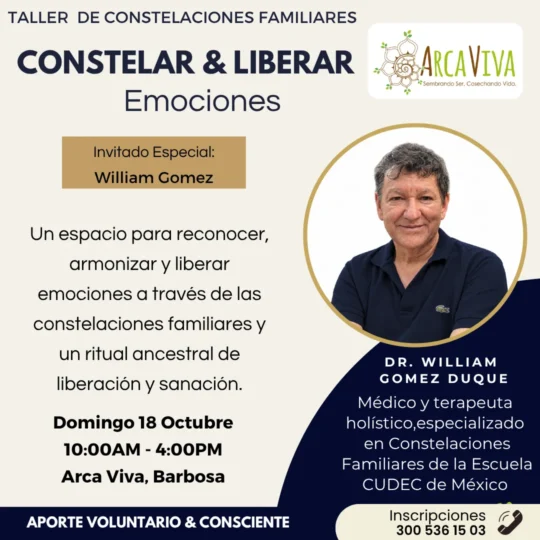 Taller de Constelaciones Familiares - Image 01